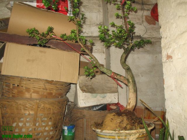IMG_8578.JPG