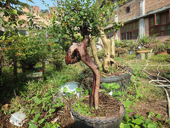 DSC02928.jpg