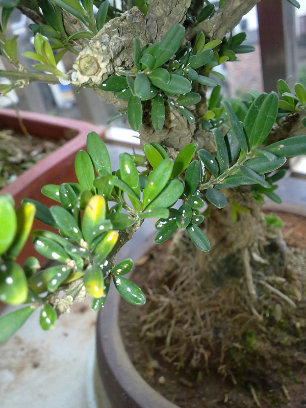 20140813387_.jpg
