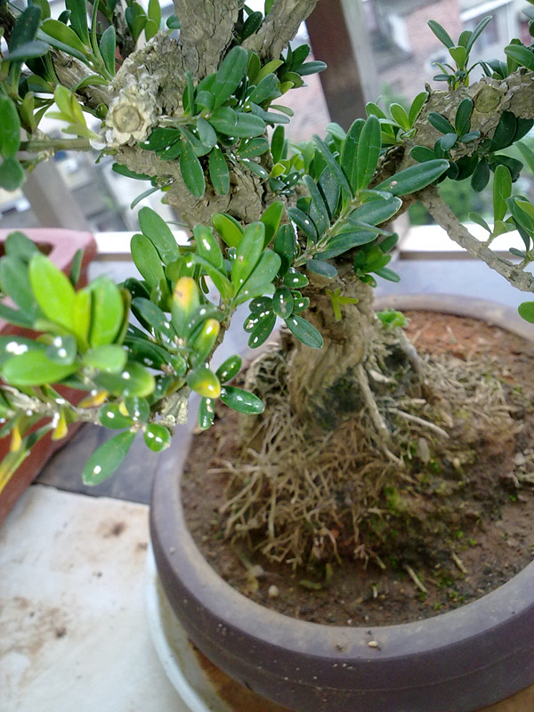 20140813386_.jpg