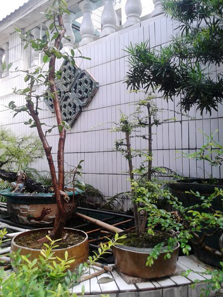 20140827_171728.jpg