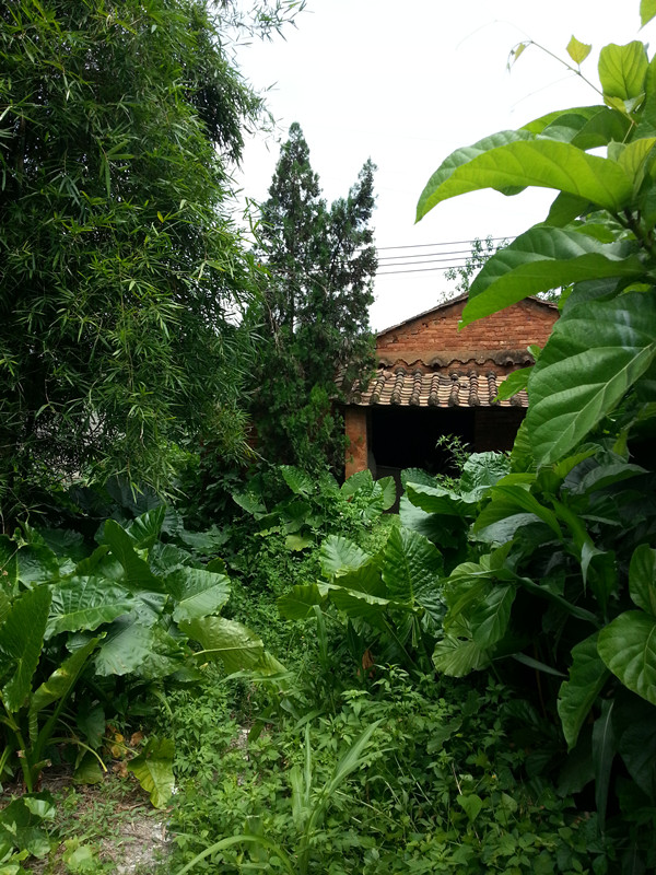 20140827_131846_.jpg