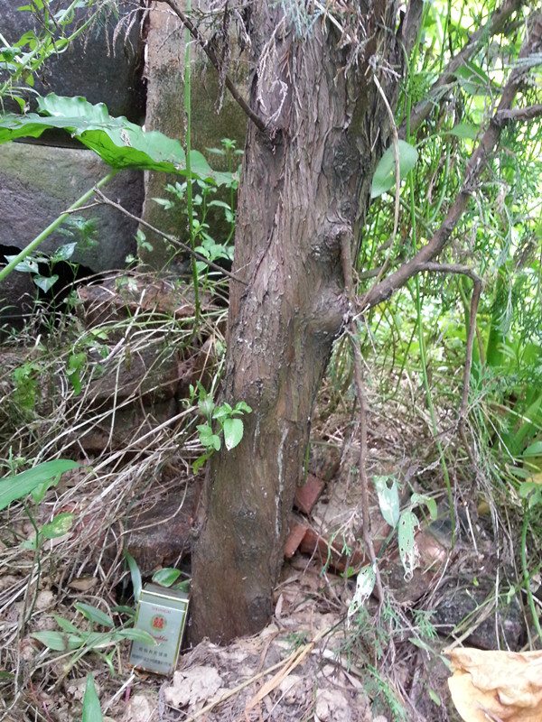 20140827_131623_.jpg