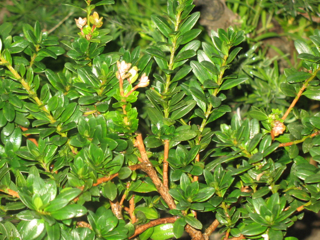 IMG_8840.JPG