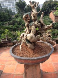 psb (9).jpg