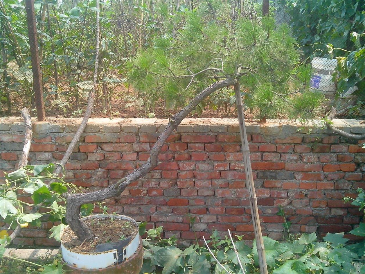 IMG20140819001.jpg