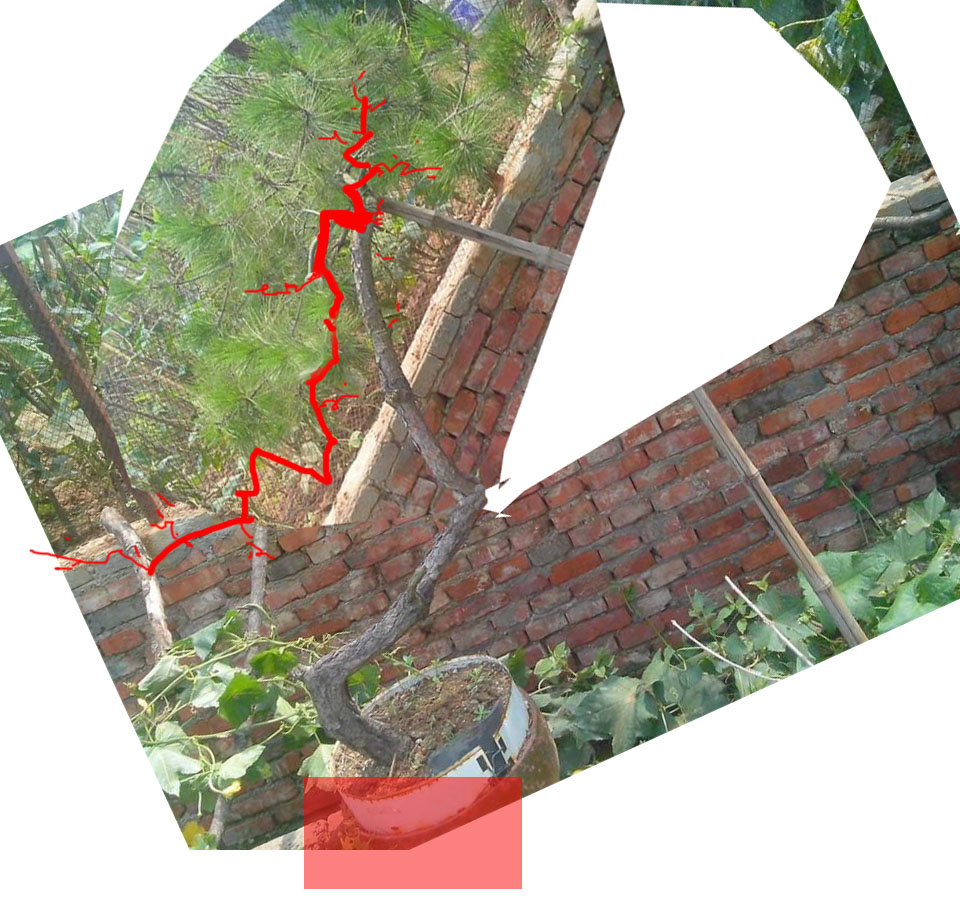 112646n3343n.jpg