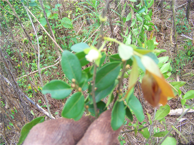 100_5495.JPG