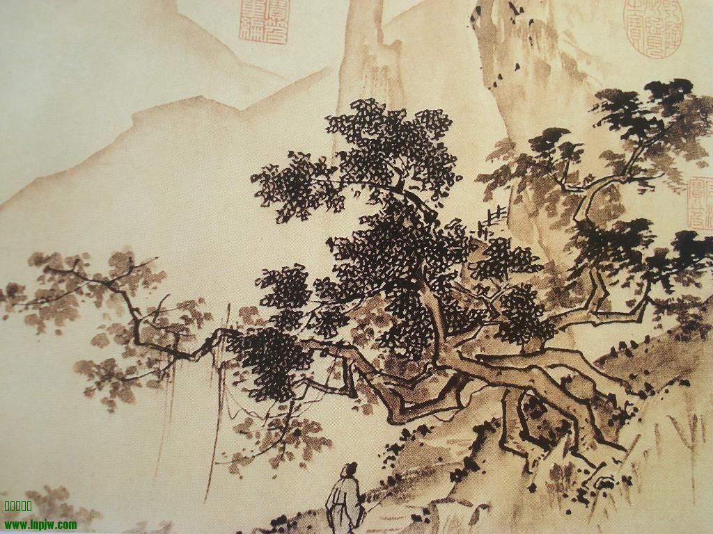 DSC01000.JPG