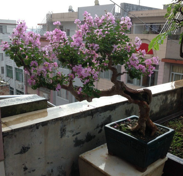 QQͼƬ20140901074721.jpg