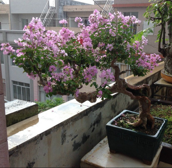 QQͼƬ20140901074725.jpg