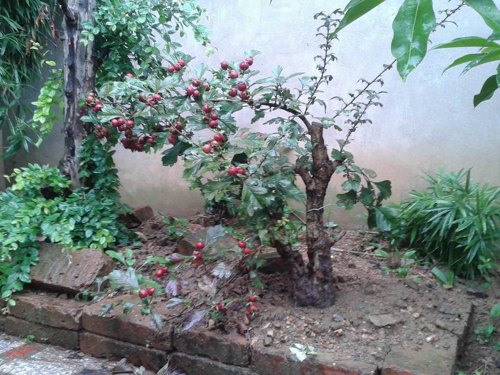 20140831_092204.jpg