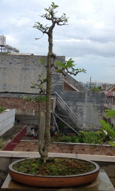 QQͼƬ20140901161433.jpg