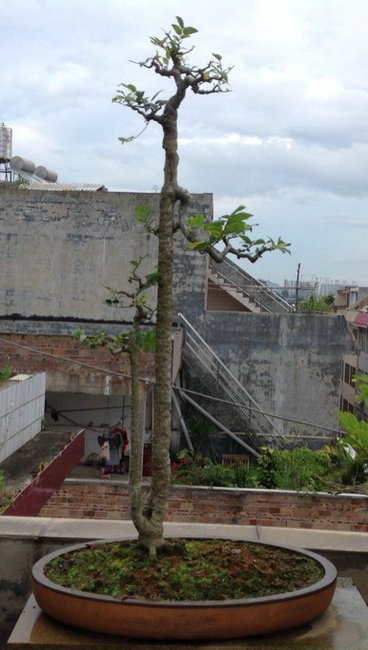 QQͼƬ20140901161446.jpg