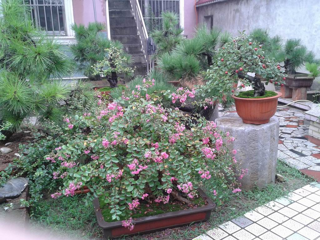 20140831_092421.jpg