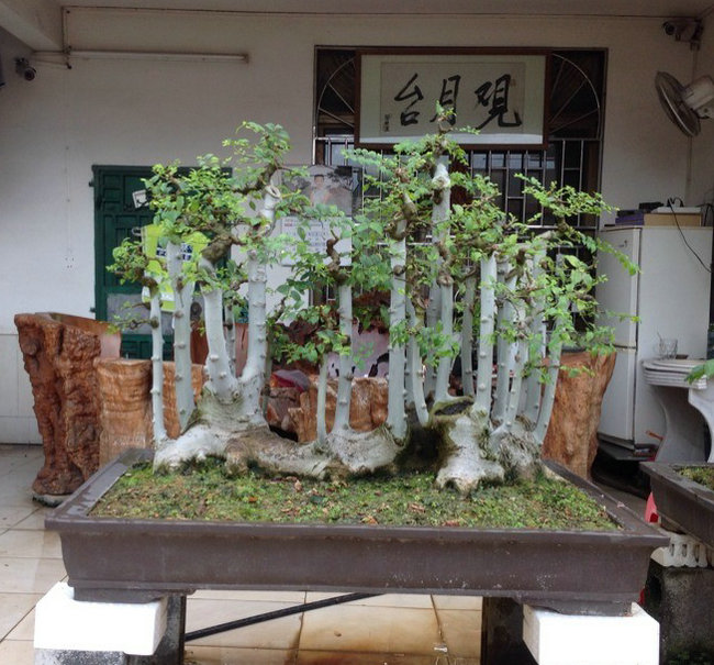 QQͼƬ20140901161458.jpg