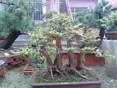20140417_072610.jpg