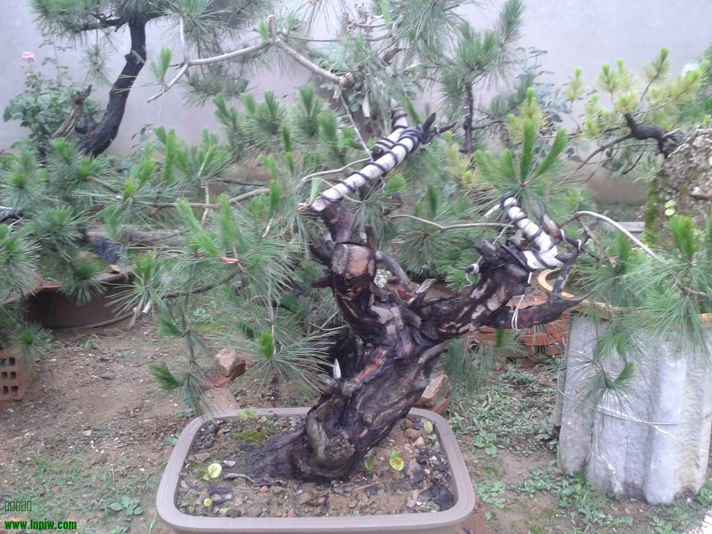 20140701_180228.jpg