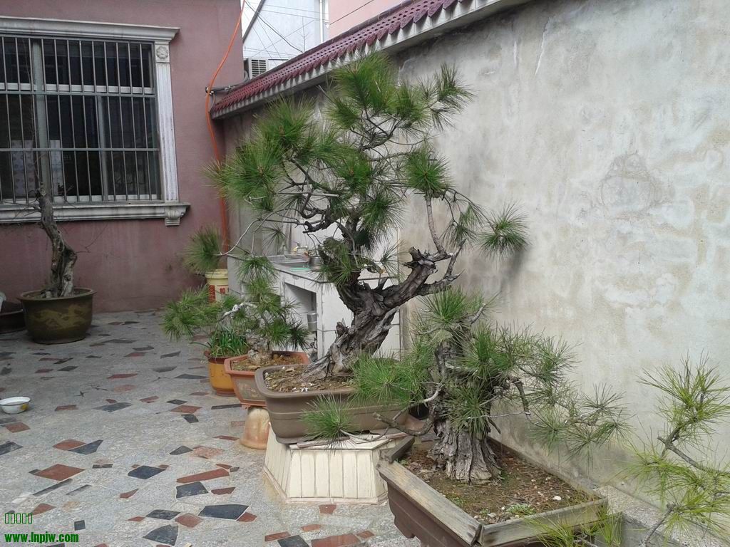 20140303_134716.jpg
