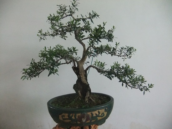 DSCF9859.JPG