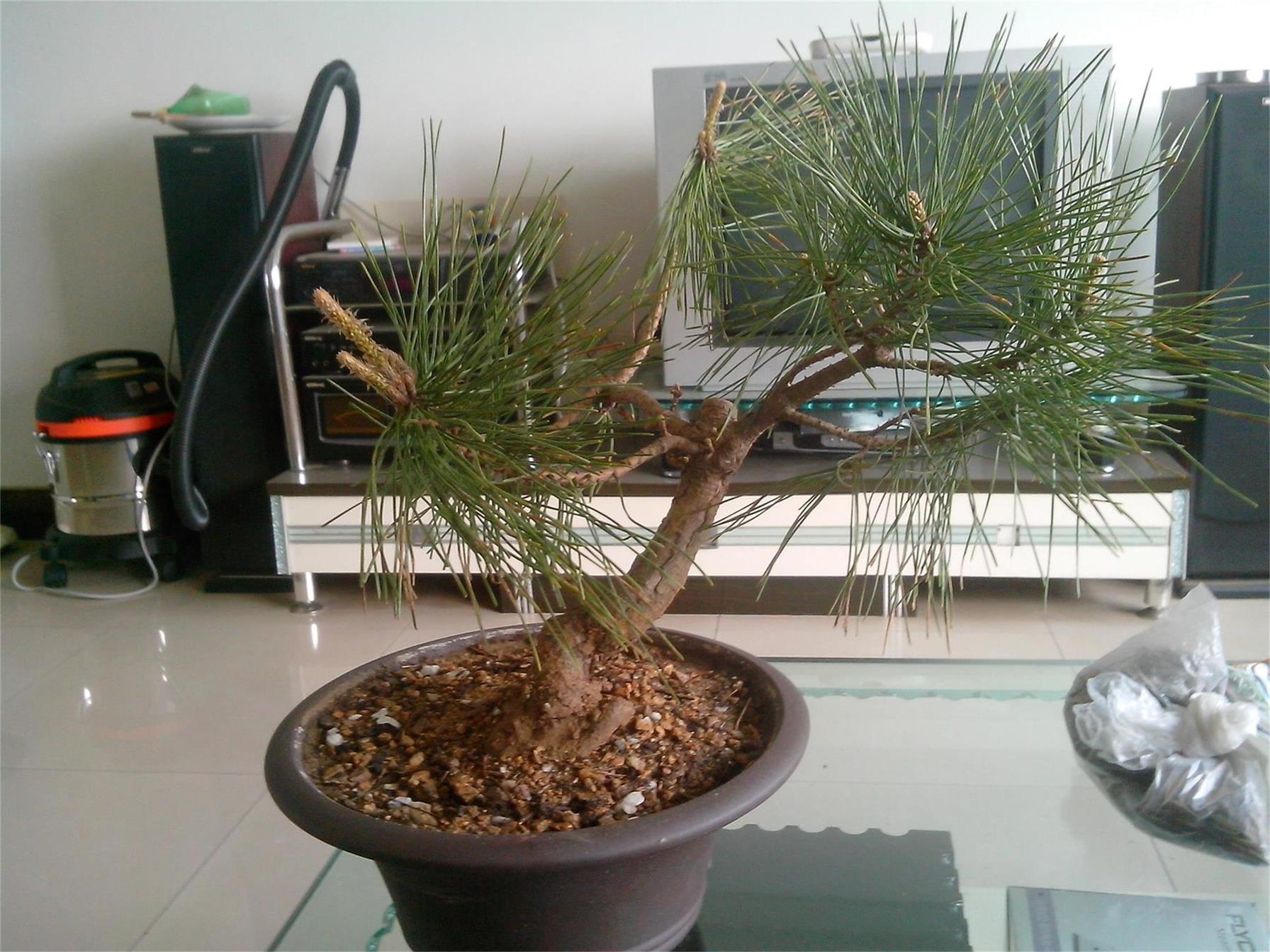 IMG20140423010.jpg