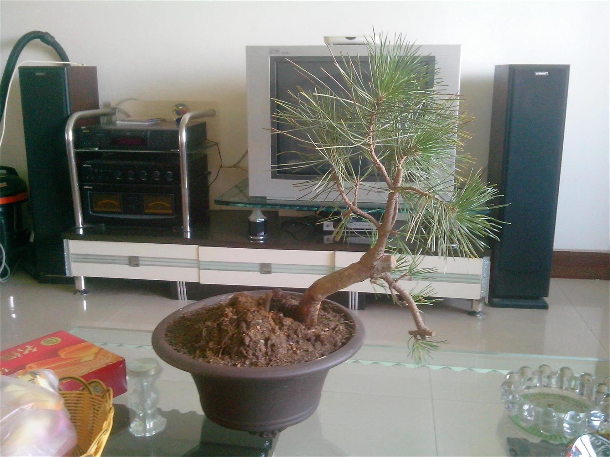 IMG20140904002.jpg
