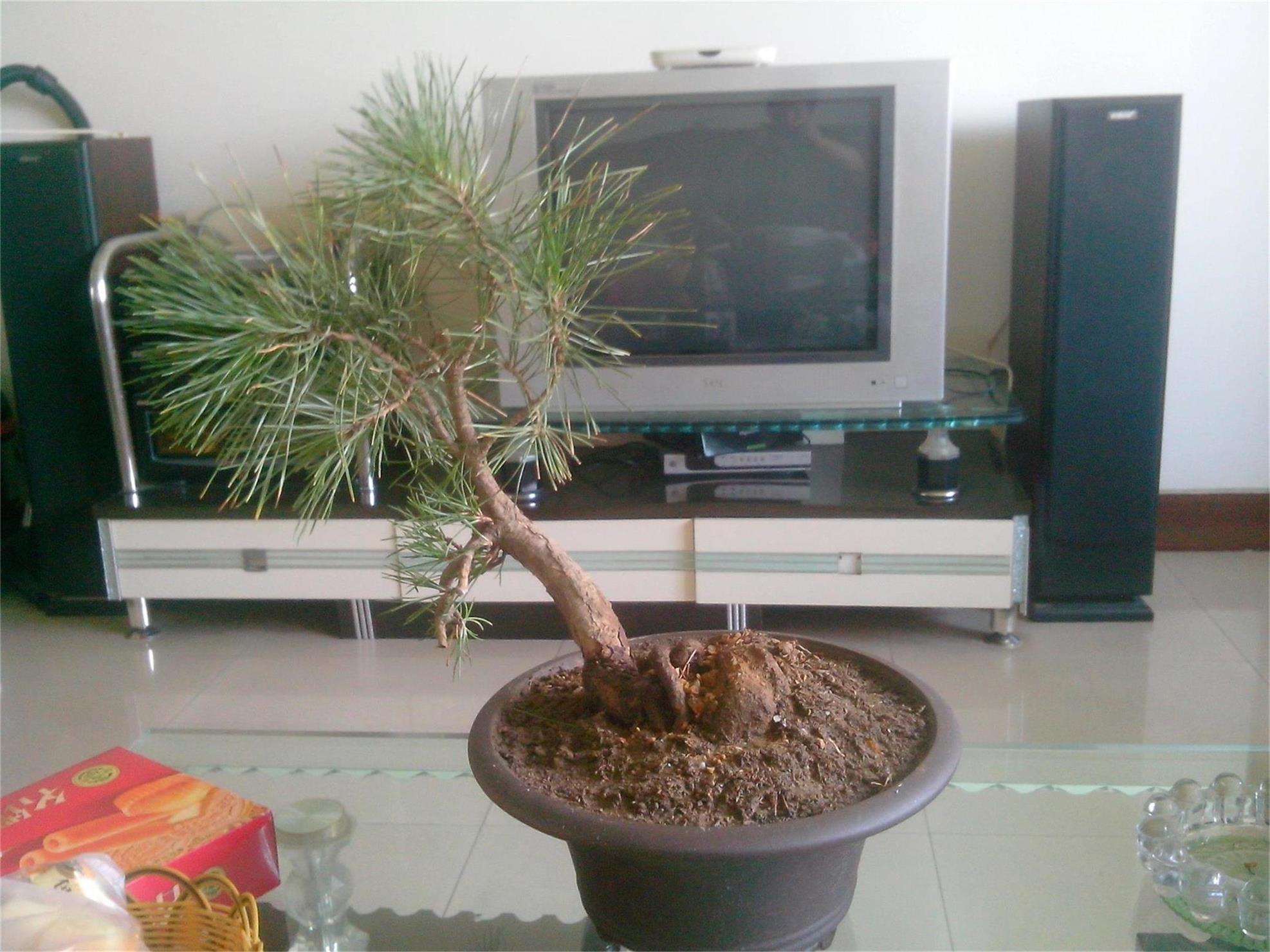 IMG20140904003.jpg