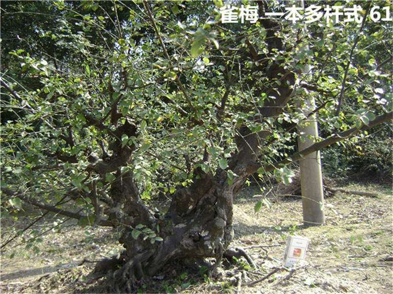 DSC04105_.jpg