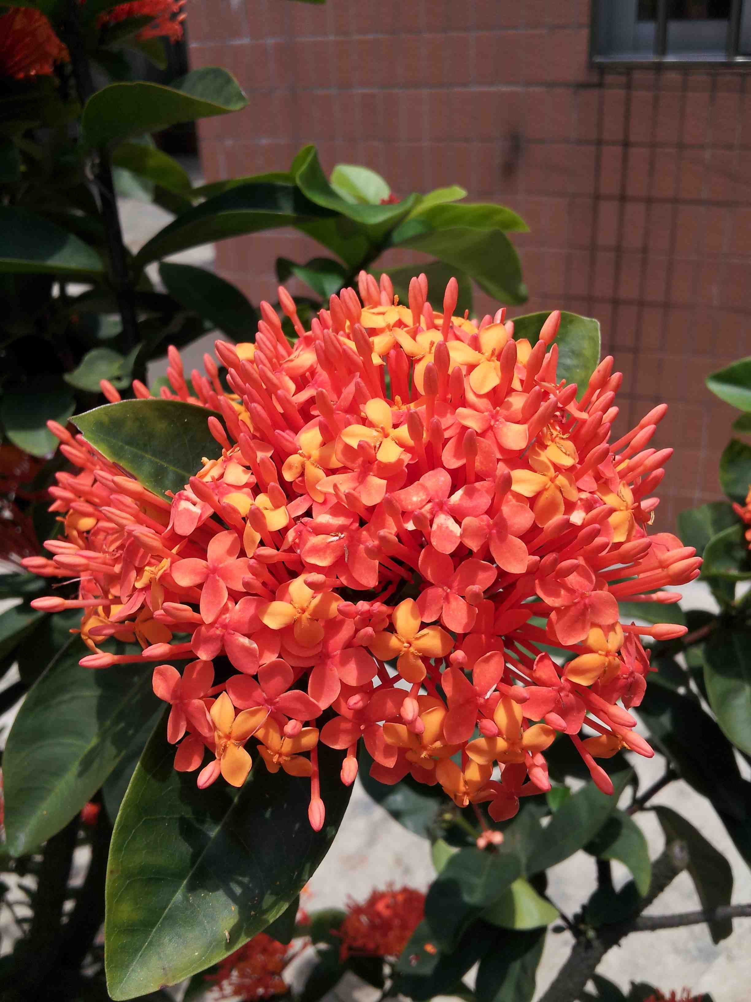 20130704_125426_.jpg