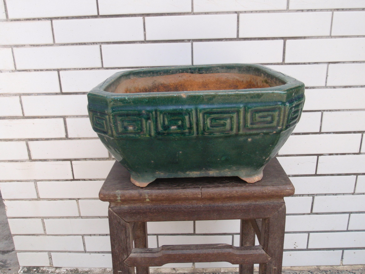 P9050159_С.JPG
