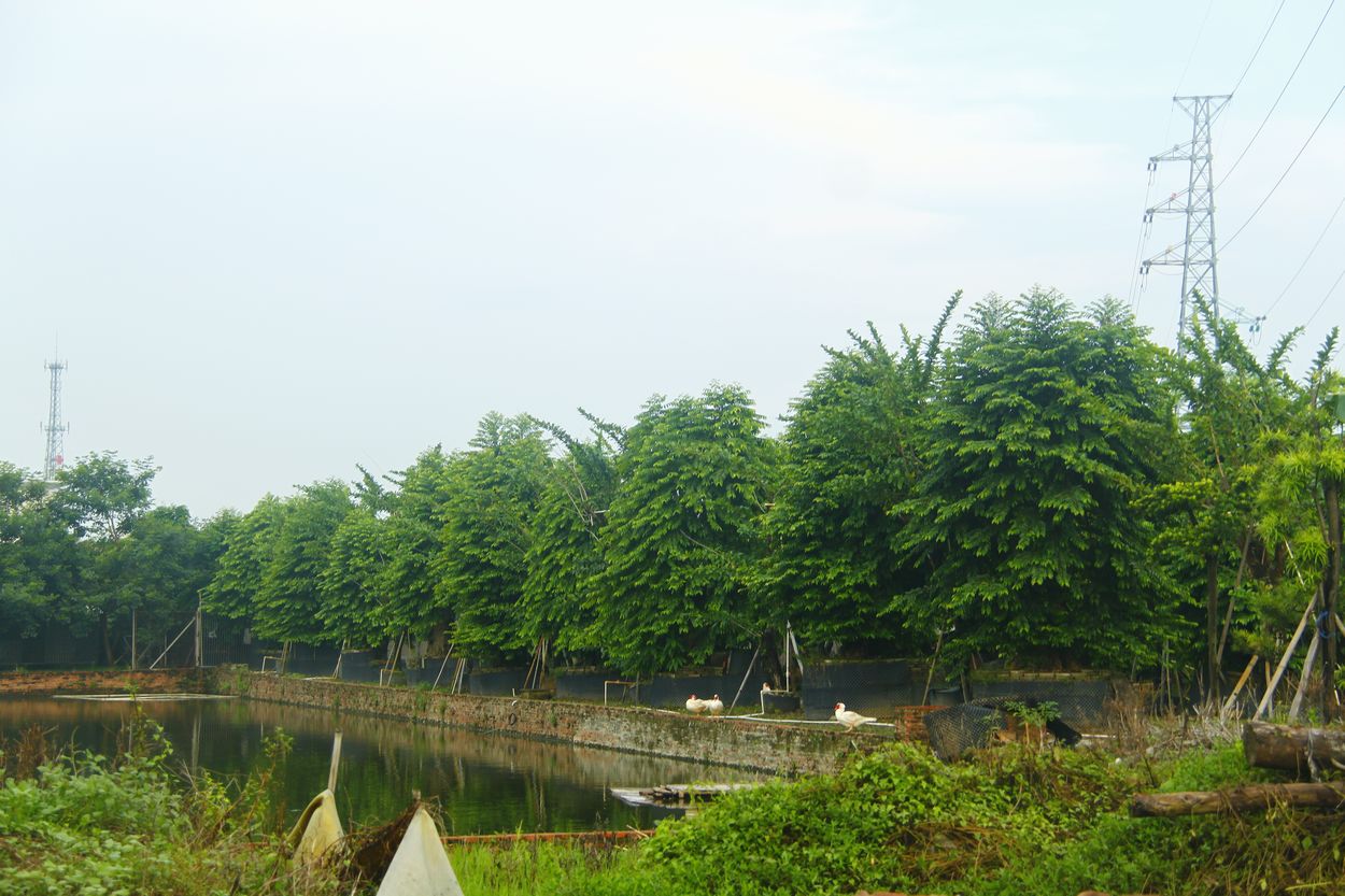_MG_3811.jpg