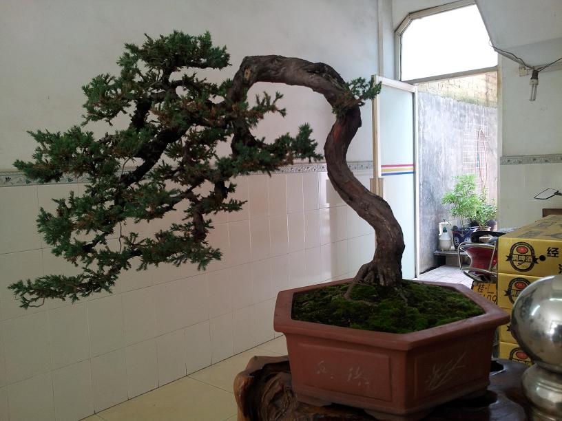 20140730_11450801.JPG
