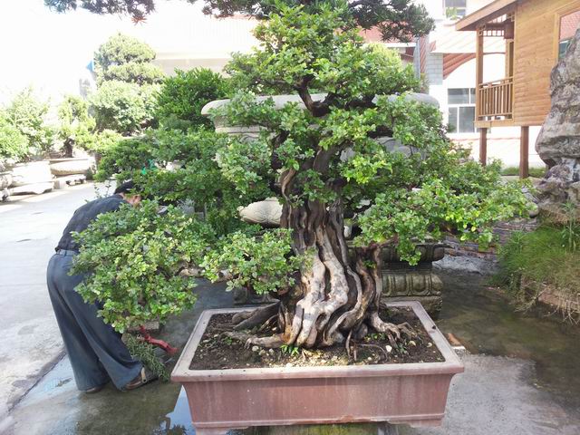 20140906_085648.jpg