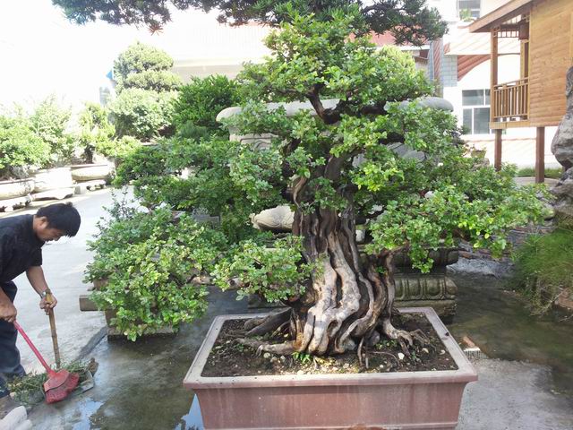 20140906_085659.jpg