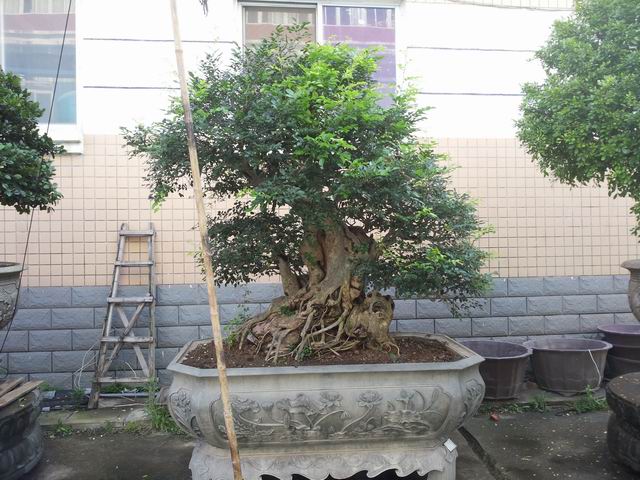 20140906_085719.jpg