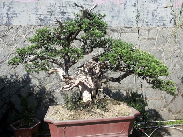 20140906_085750.jpg