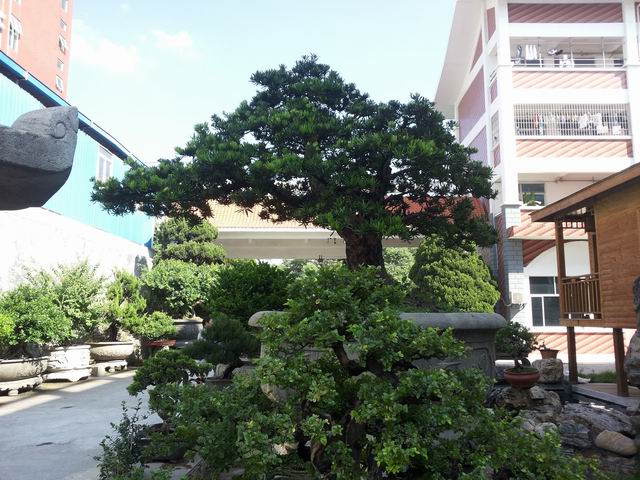 20140906_085814.jpg
