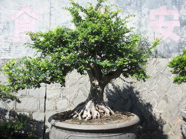 20140906_090032.jpg