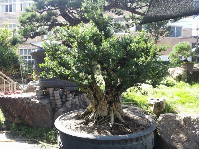 20140906_090207.jpg