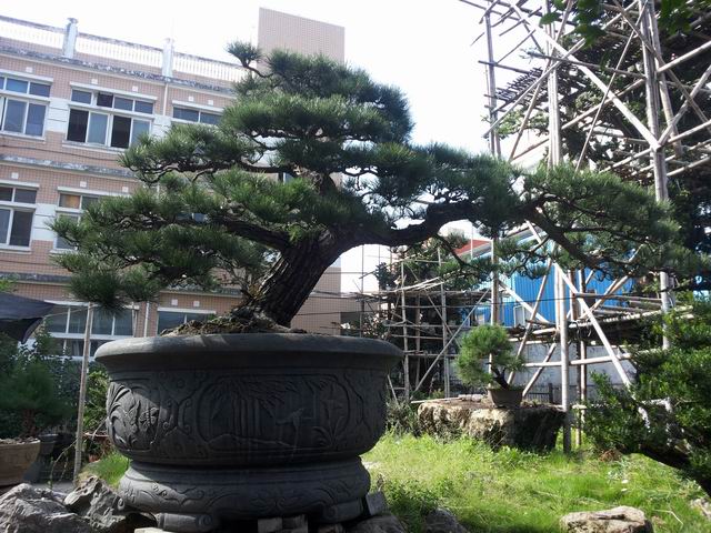 20140906_090236.jpg