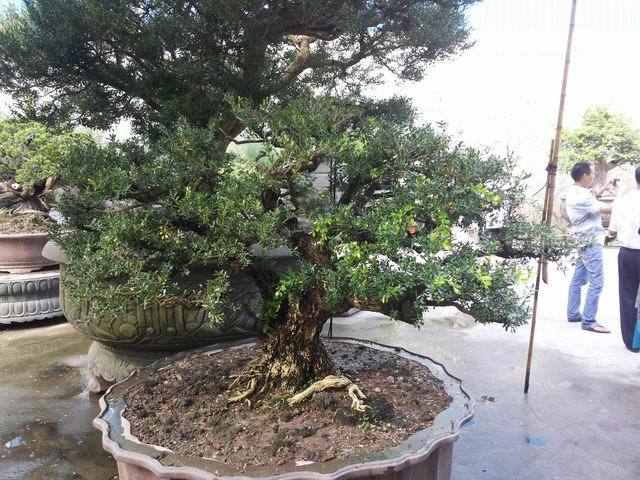 20140906_090251.jpg