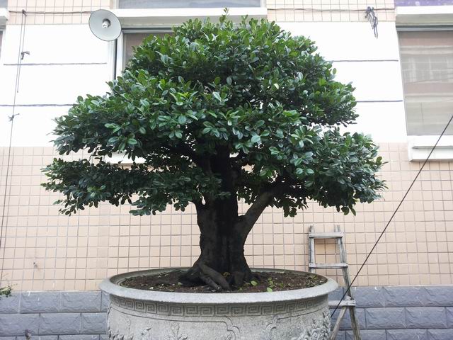 20140906_090320.jpg