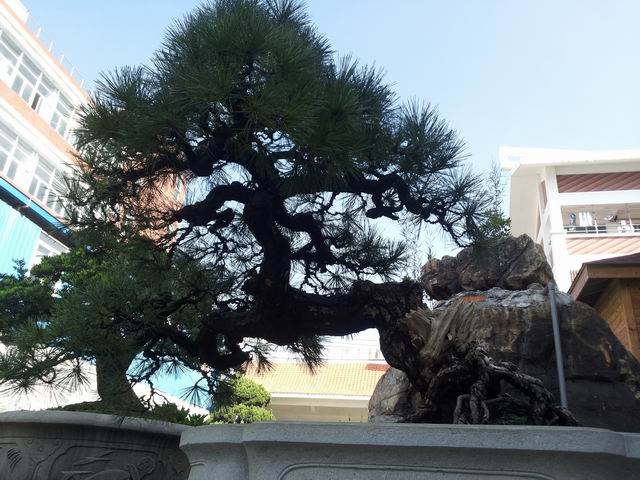 20140906_090335.jpg