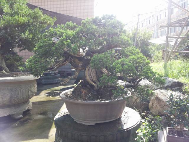 20140906_090402.jpg