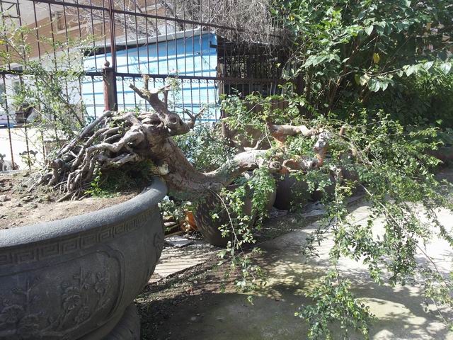 20140906_091458.jpg