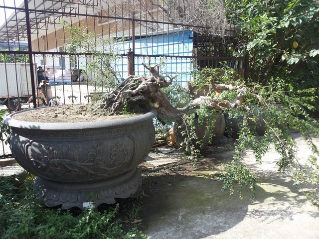 20140906_091504.jpg