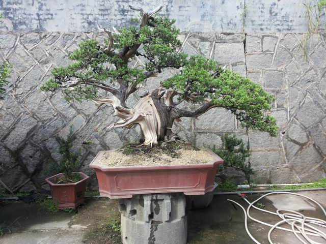 20140906_092330.jpg