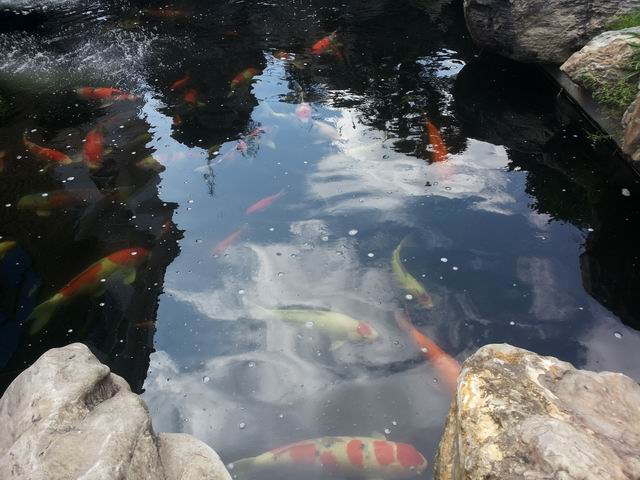 20140906_093021.jpg