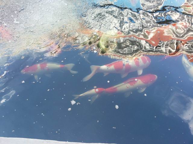 20140906_094613.jpg