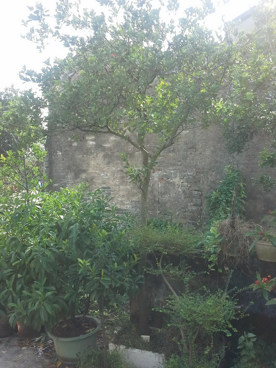 20140907_154256_С.jpg